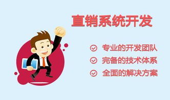 直銷軟件 開發(fā)公司 定制開發(fā)