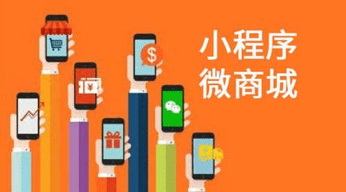 產(chǎn)品展示 電商運營 軟件定制